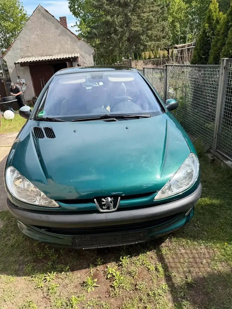 Gebraucht Peugeot 206 75 PS (55 kW) 2001 Grün Kleinwagen
