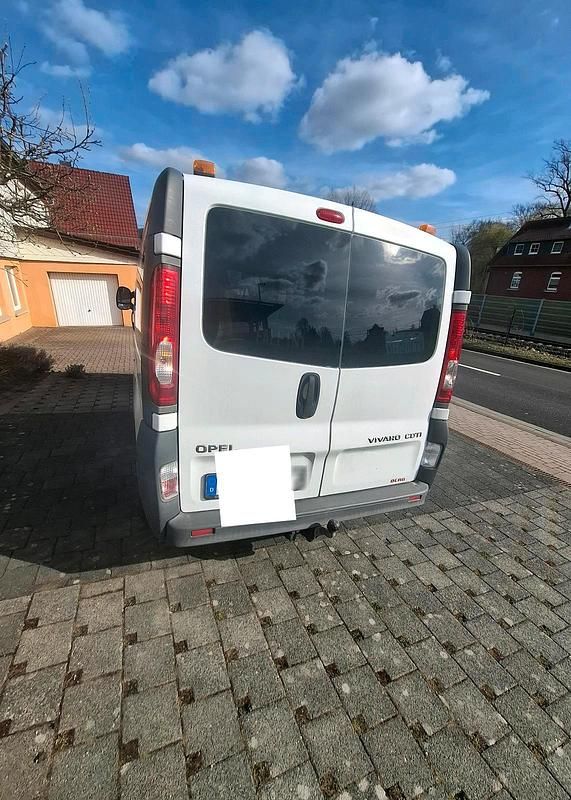 Gebraucht Opel Vivaro 114 PS (83 kW) 2013 Weiß Van / Kleinbus