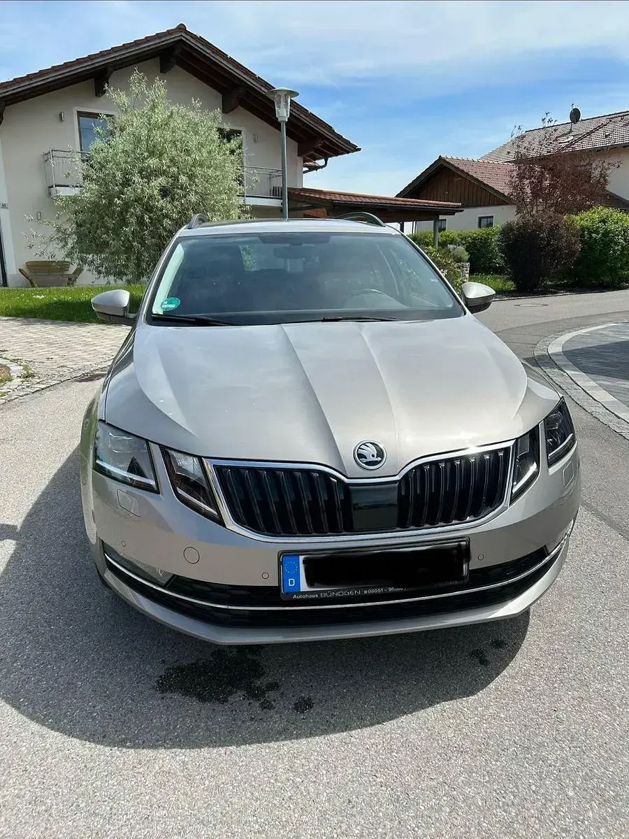 Gebraucht Skoda Octavia Style 150 PS (110 kW) 2019 Beige Kombi
