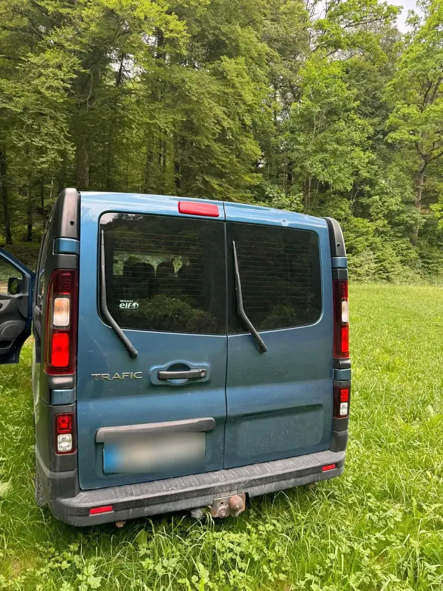 Gebraucht Renault Traffic 121 PS (88 kW) 2015 Grün Van / Kleinbus