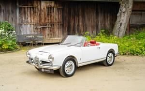 Gebraucht Alfa Romeo Giulia 92 PS (67 kW) 1964 Weiß Cabrio