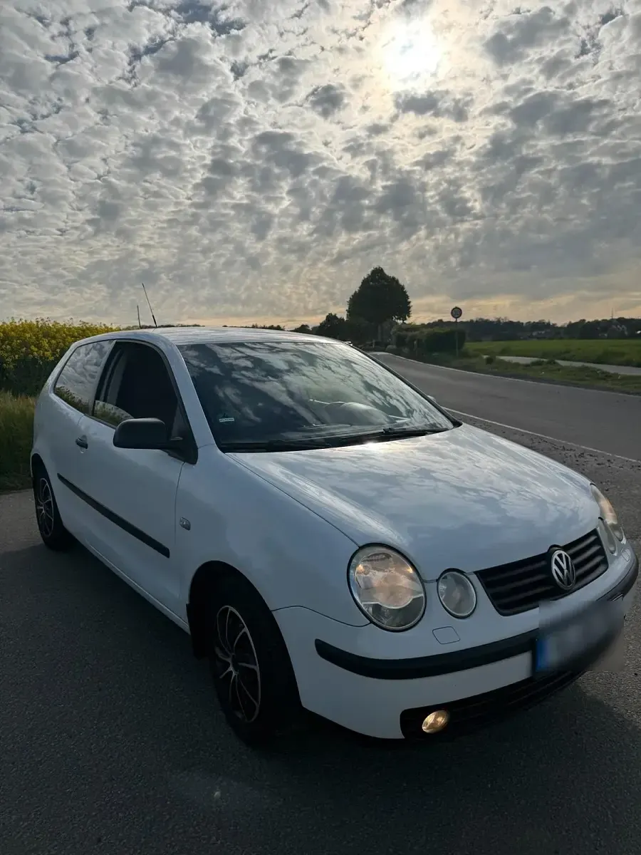 Gebraucht VW Polo 75 PS (55 kW) 2005 Weiß Kleinwagen
