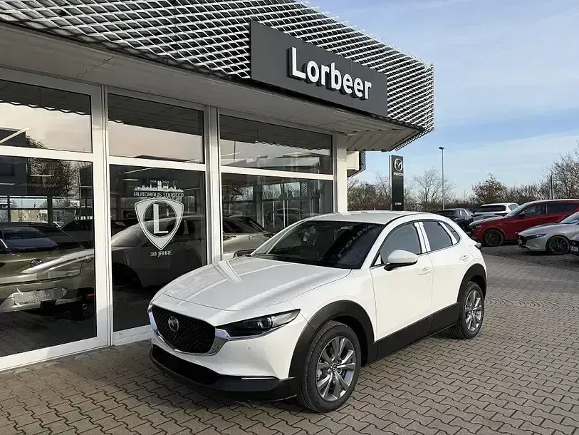 Neu Mazda CX-30 140 PS (102 kW) 2026 Weiß SUV