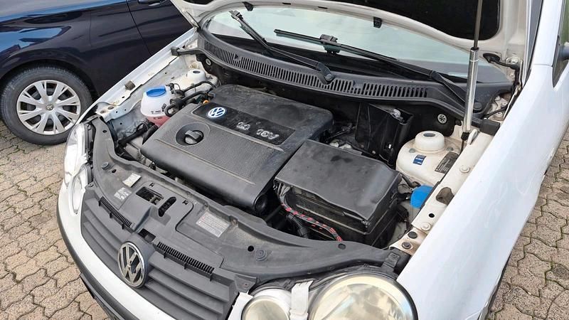 Brugt VW Polo 75 HK (55 kW) 2002 Hvid Hatchback