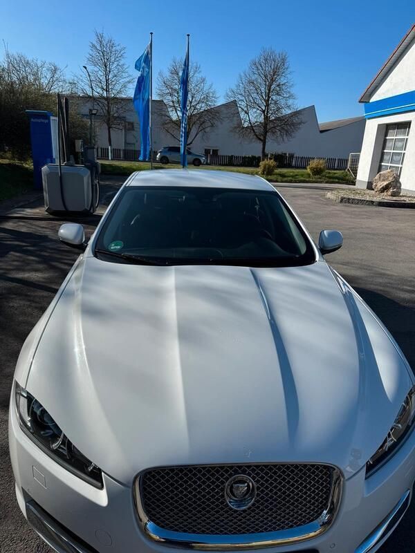 Weiß Gebraucht 2012 Jaguar XF Limousine | 6.800 € (Superpreis) - Bild 1/4