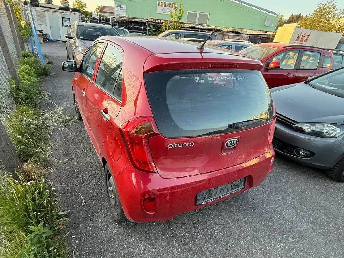Używany Kia Picanto Attract 69 KM (50 kW) 2015 Czerwony Hatchback