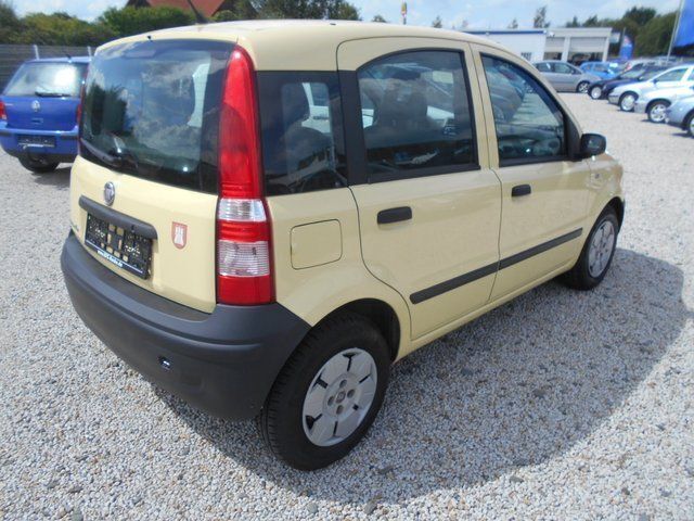 Occasion Fiat Panda Active 54 ch (39 kW) 2009 Jaune Citadine