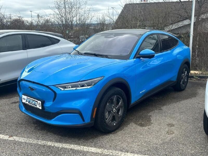 Gebraucht Ford Mustang Mach-E Basis 197 kW (269 PS) 2023 Grabber blue metallic SUV