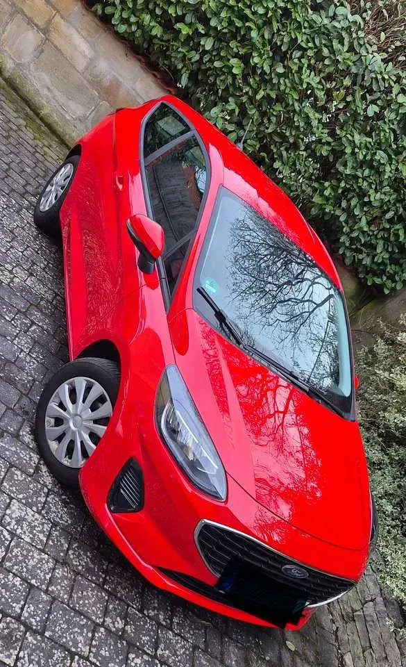 Gebraucht Ford Fiesta Trend 75 PS (55 kW) 2022 Rot Kleinwagen