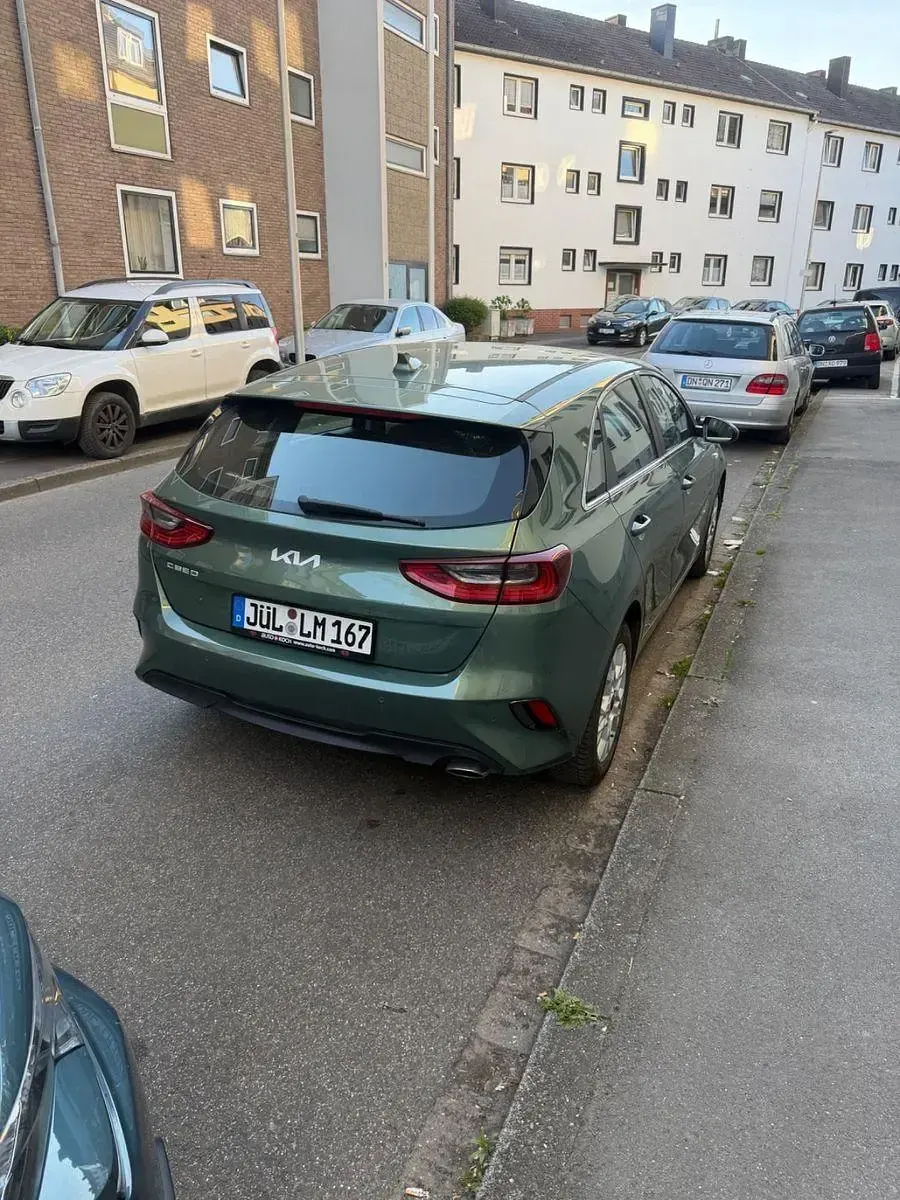 Gebraucht Kia Ceed Vision 140 PS (102 kW) 2025 Grün Kleinwagen