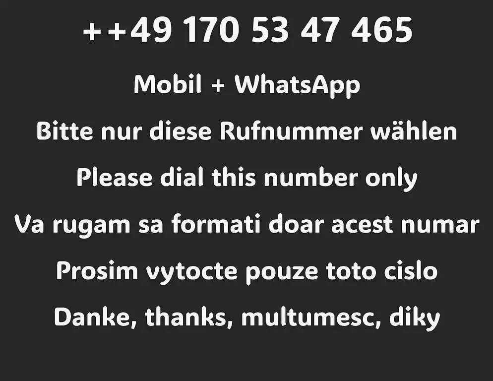 Gebraucht BMW 325 Cabriolet Exclusive 192 PS (141 kW) 2006 Blau Cabrio