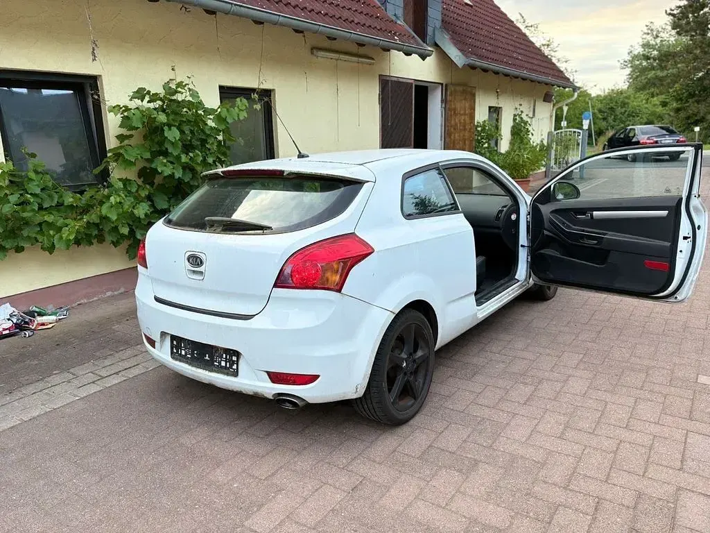 Gebraucht Kia Ceed 143 PS (105 kW) 2009 Weiß Kleinwagen