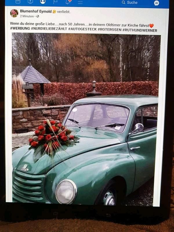 Gebraucht DKW Sonderklasse 40 PS (29 kW) 1955 Grün Kleinwagen