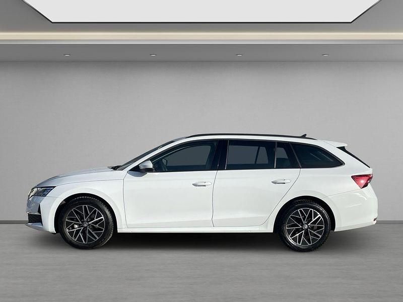 Gebraucht Skoda Octavia Selection 150 PS (110 kW) 2025 Weiss Kombi