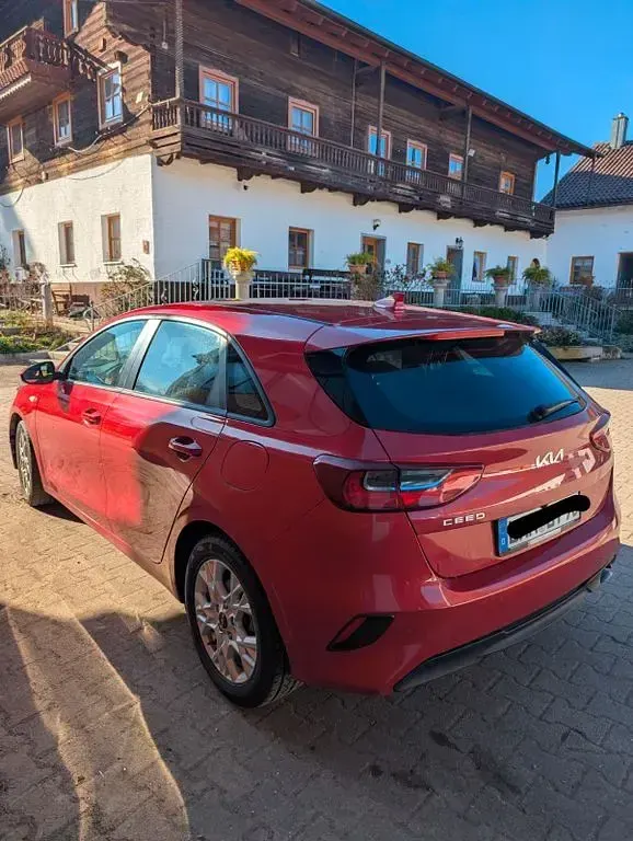Gebraucht Kia Ceed Vision 101 PS (74 kW) 2023 Rot Kleinwagen