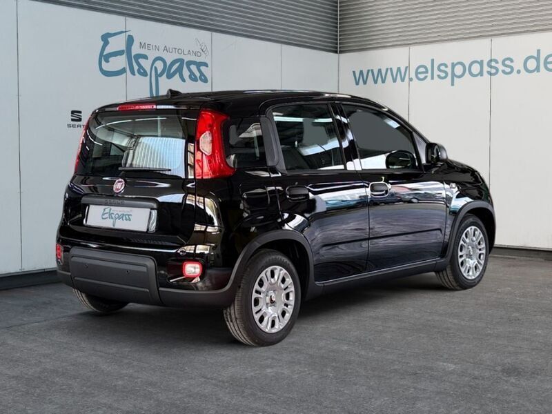 Usata Fiat Panda 69 CV (50 kW) 2024 Nero Utilitaria