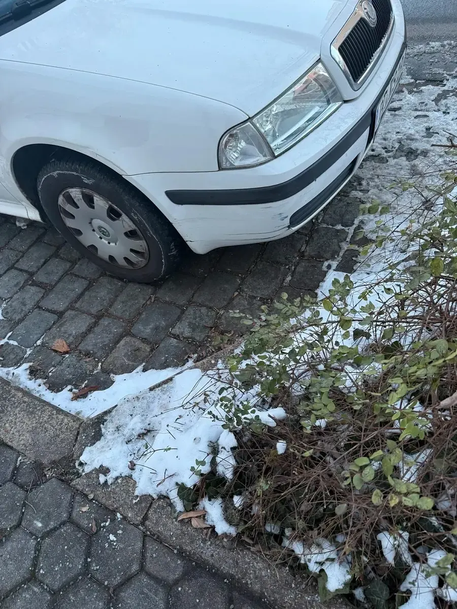 Gebraucht Skoda Octavia 102 PS (75 kW) 2009 Weiß Kombi