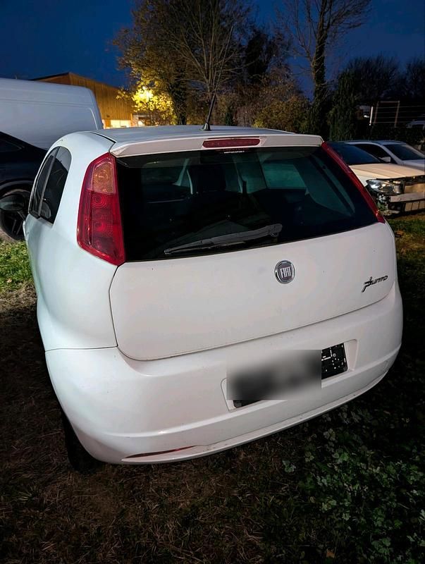 Weiß Gebraucht 2008 Fiat Punto Kleinwagen | 1.200 € (Fairer Preis) - Bild 1/4