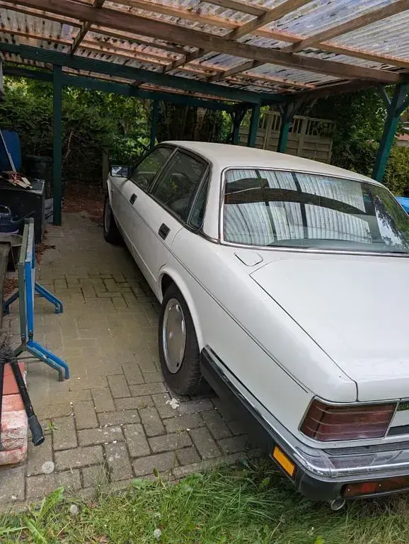 Gebraucht Jaguar XJ40 199 PS (146 kW) 1991 Weiß Limousine