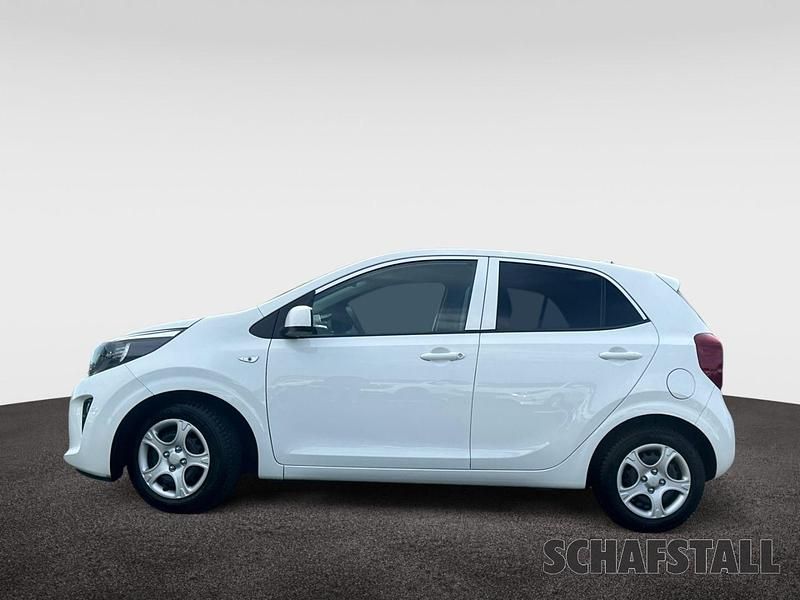Gebraucht Kia Picanto Vision 67 PS (49 kW) 2024 Weiss ((ud) schneeweiss) Kleinwagen