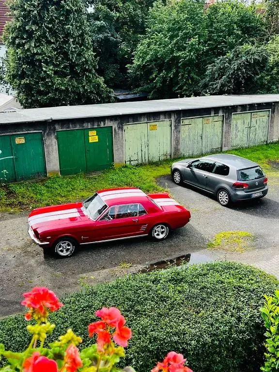 Gebraucht Ford Mustang 203 PS (149 kW) 1966 Rot Coupé