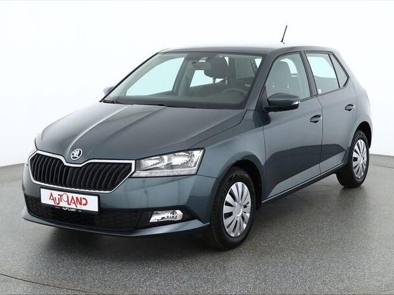 Gebraucht Skoda Fabia Ambition 75 PS (55 kW) 2019 Grau Kleinwagen