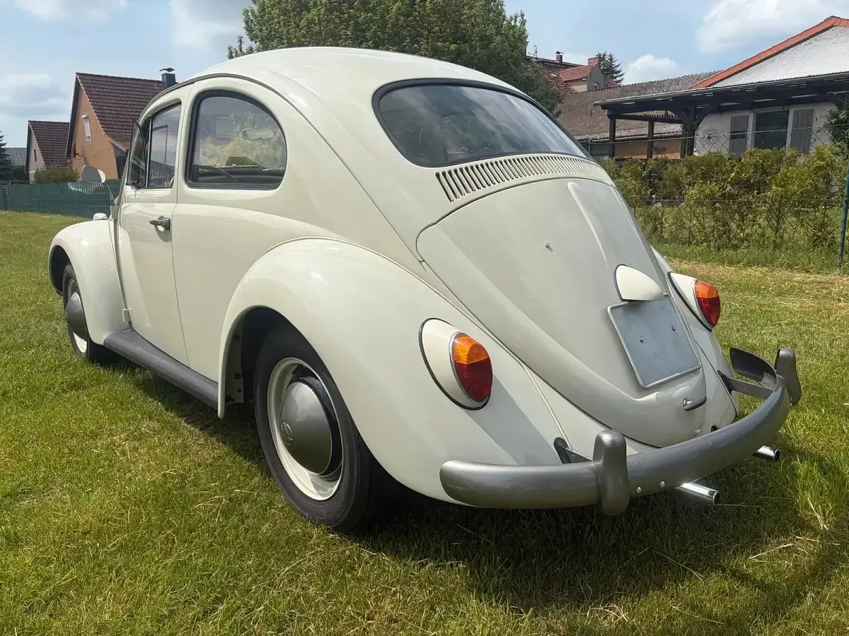 Gebraucht VW Käfer 30 PS (22 kW) 1963 Beige