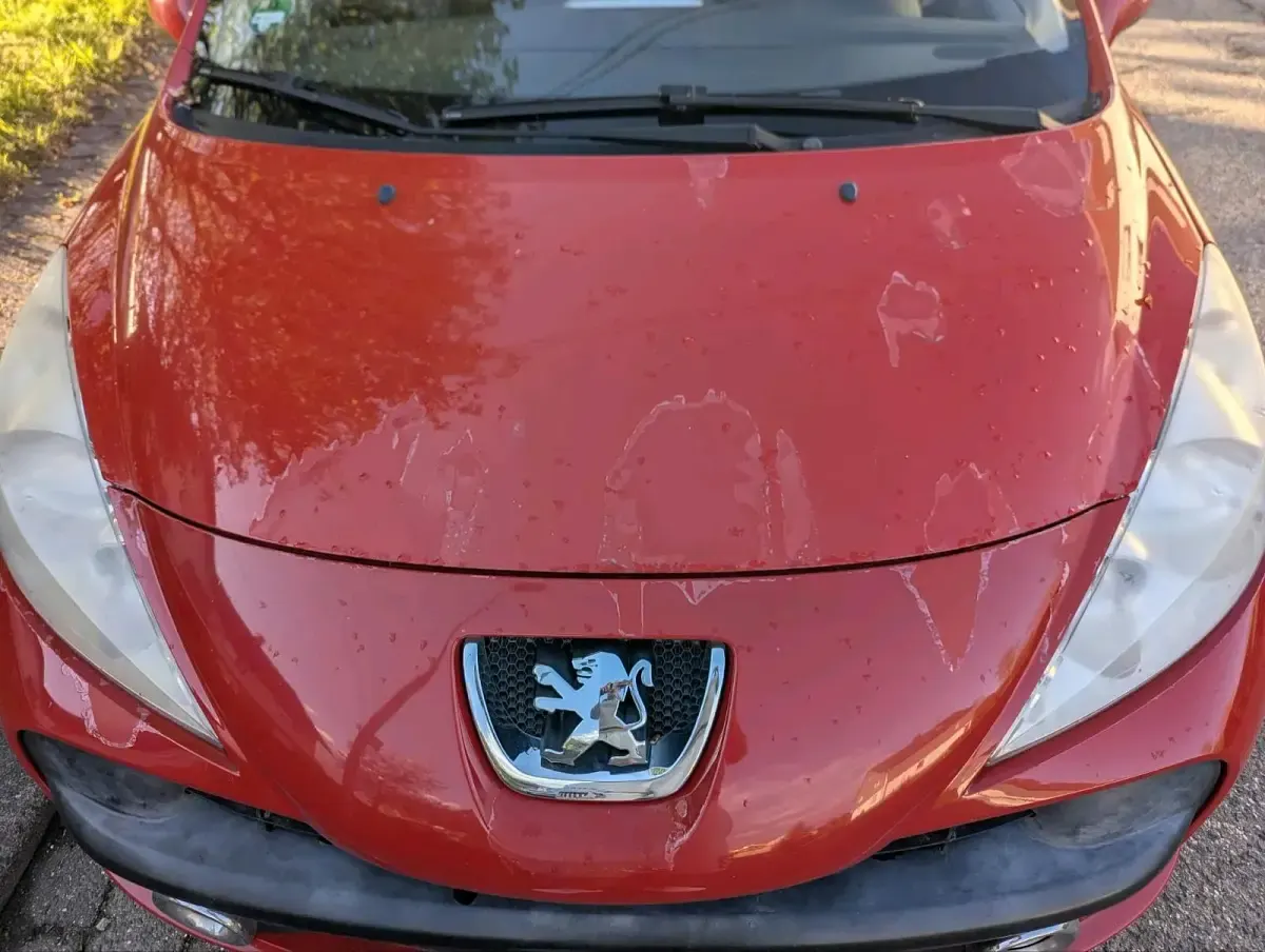 Gebraucht Peugeot 207 95 PS (69 kW) 2009 Rot Kleinwagen