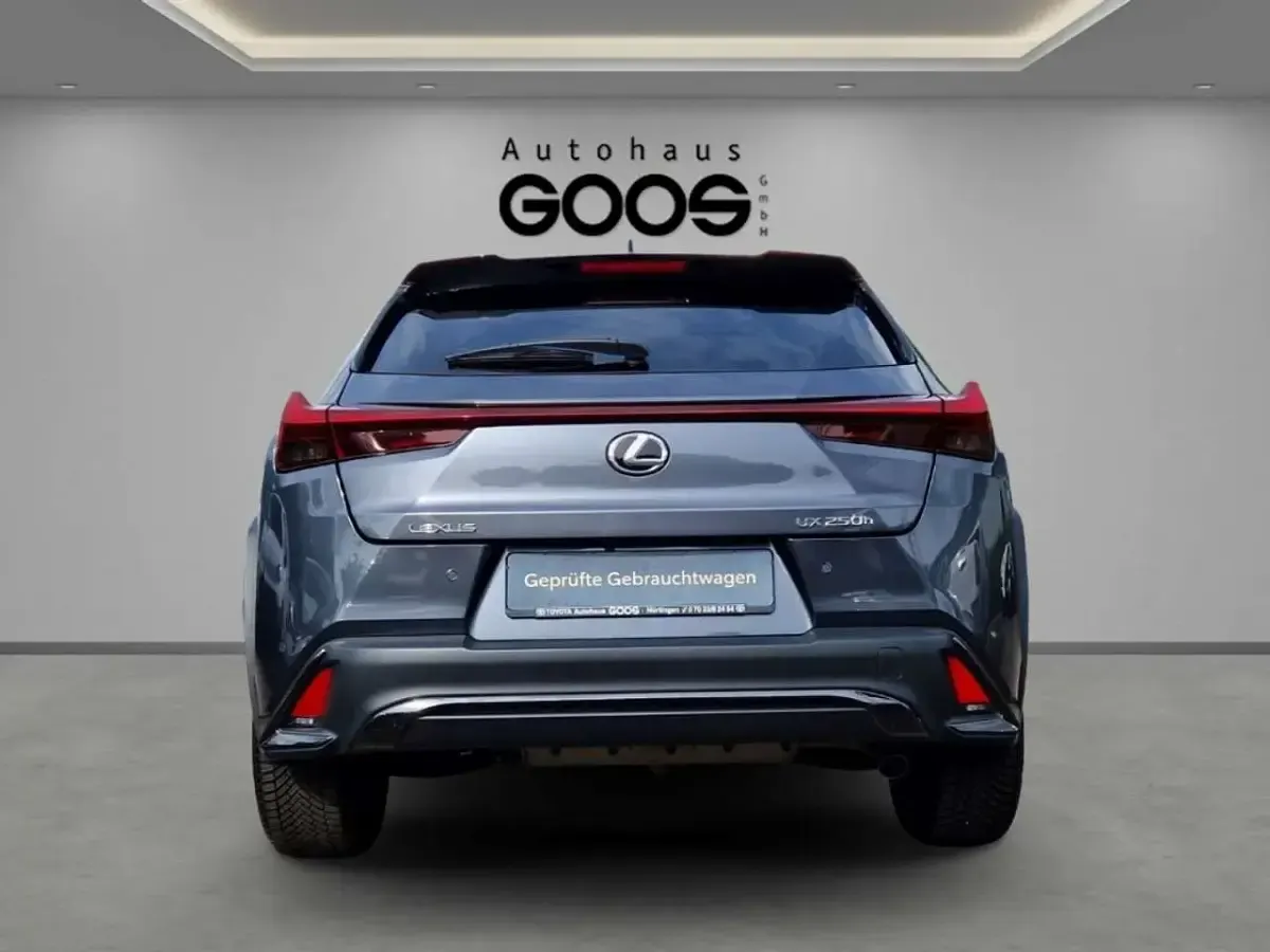 Gebraucht Lexus UX 250h 184 PS (135 kW) 2024 Grau SUV