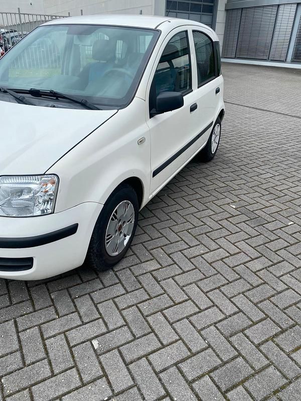 Gebraucht Fiat Panda 45 PS (33 kW) 2009 Weiß Kleinwagen