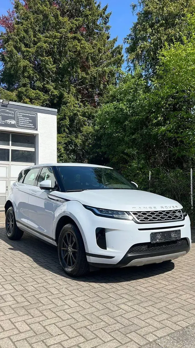 Gebraucht Land Rover Range Rover evoque 150 PS (110 kW) 2020 Yulong white SUV