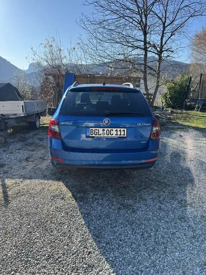 Gebraucht Skoda Octavia Scout 190 PS (139 kW) 2019 Kombi