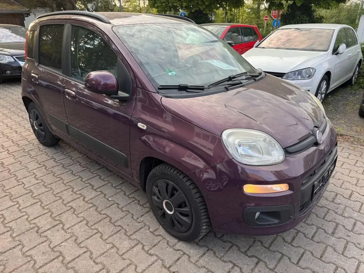 Usata Fiat Panda Lounge 86 CV (63 kW) 2012 Viola Utilitaria