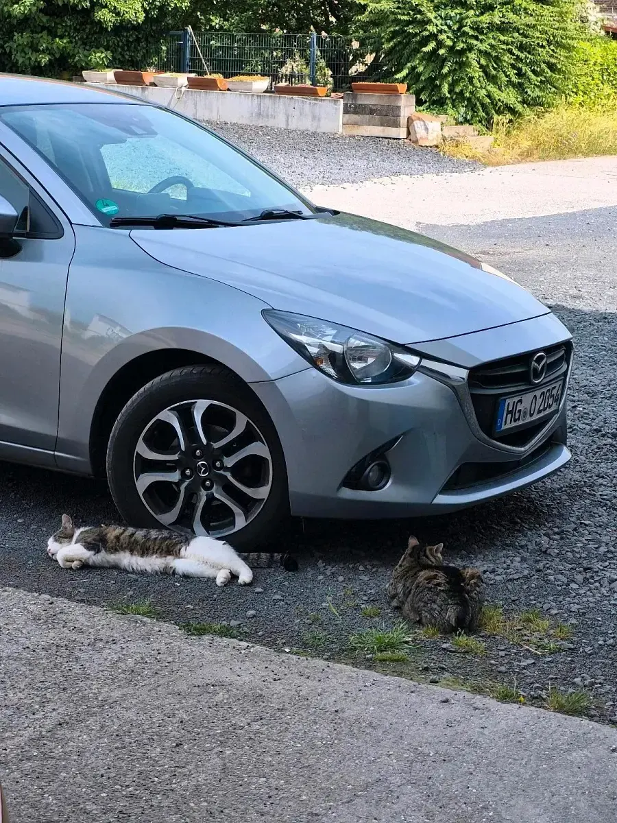 Gebraucht Mazda 2 90 PS (66 kW) 2015 Silber Kleinwagen