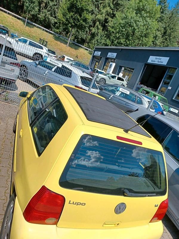 Gebraucht VW Lupo 75 PS (55 kW) 2000 Gelb Kleinwagen