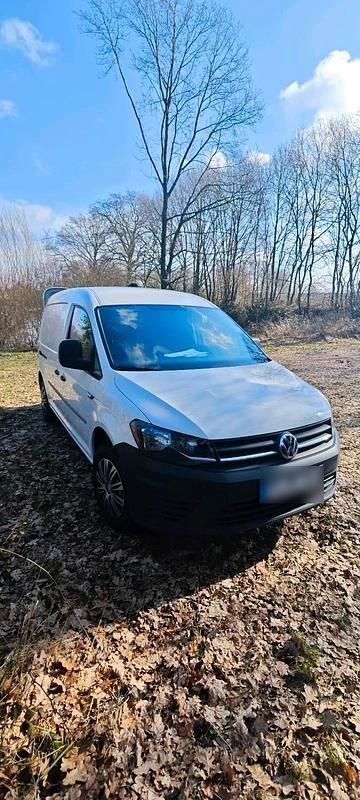 Second-hand VW T6 102 CP (75 kW) 2016 Alb Van