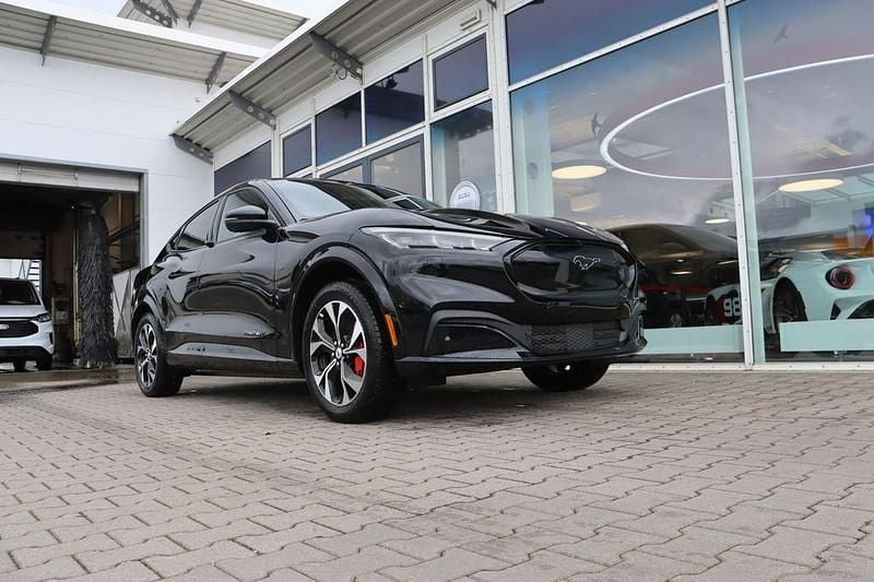 Neu Ford Mustang Mach-E Premium 275 kW (375 PS) 2026 Terrain sand SUV