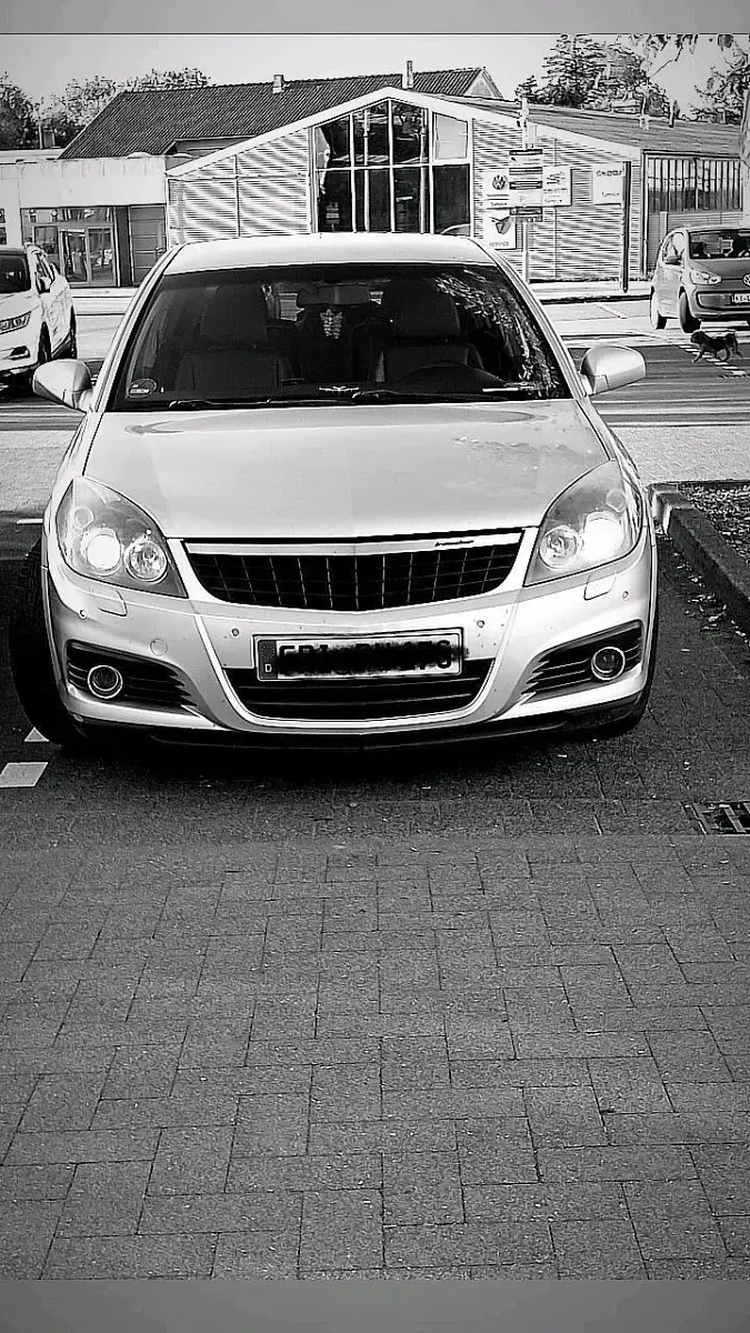 Usata Opel Signum 2008 Argento Utilitaria