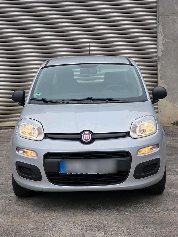 Grau Gebraucht 2017 Fiat Panda Kleinwagen | 4.700 € (Guter Preis) - Bild 1/4