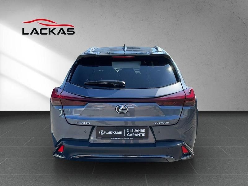 Gebraucht Lexus UX 250h Sport Design Packet 184 PS (135 kW) 2023 Sonic grey (grau) SUV