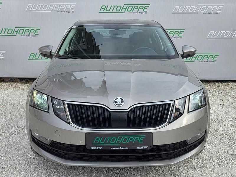 Gebraucht Skoda Octavia 116 PS (85 kW) 2019 Cappuccinobeige metallic Limousine
