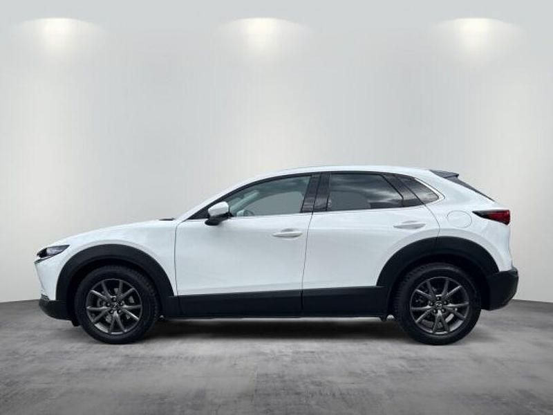Gebraucht Mazda CX-30 Selection 150 PS (110 kW) 2021 Arctic white SUV