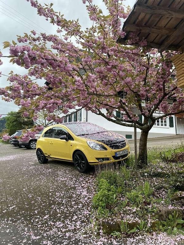Gebraucht 2010 Opel Corsa Color Edition Limousine | 1.900 € (Superpreis) - Bild 1/4