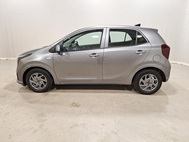 Gebraucht Kia Picanto Vision 63 PS (46 kW) 2024 Astrograu met. Kleinwagen