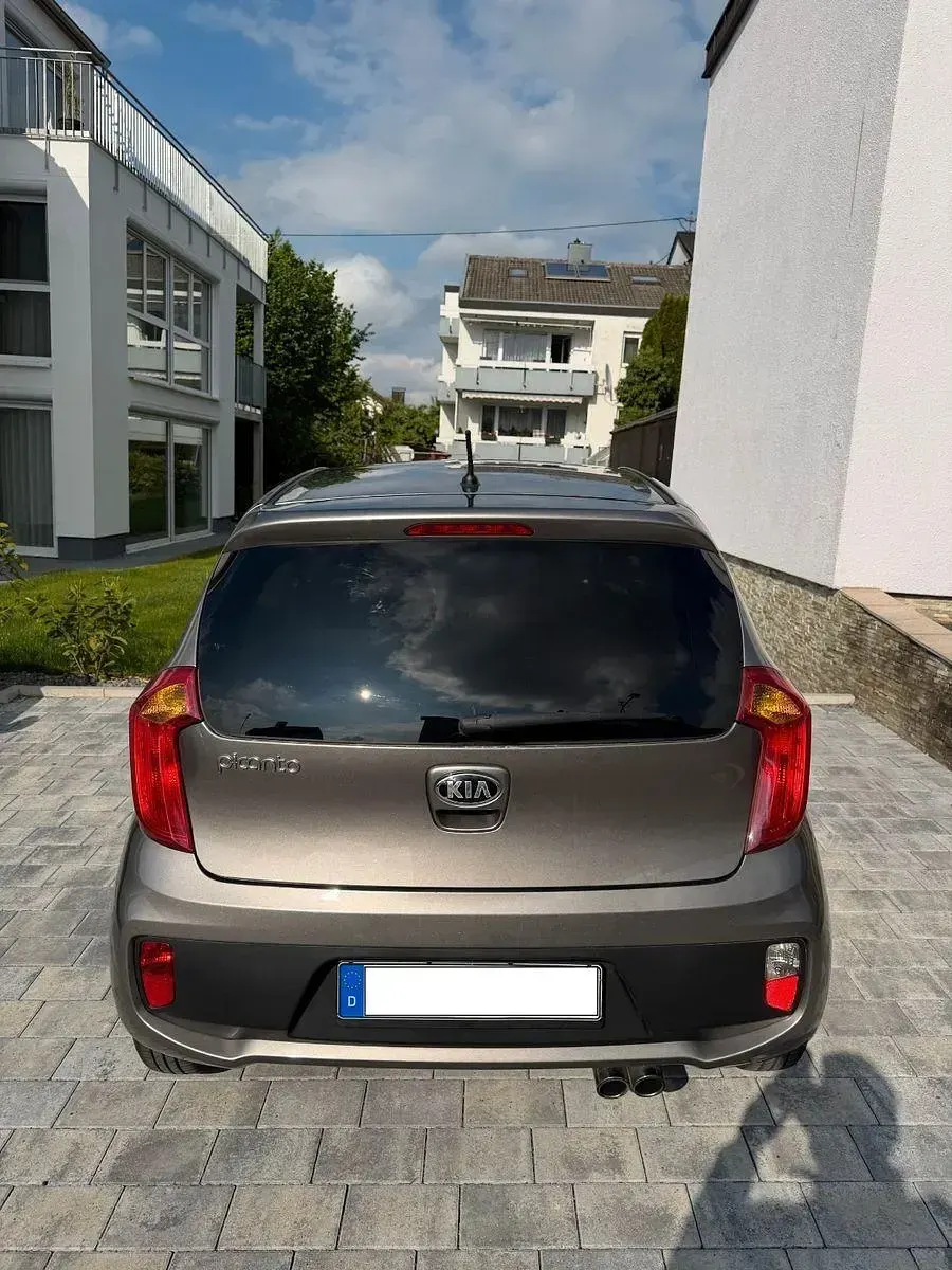 Używany Kia Picanto 69 KM (50 kW) 2015 Szary Hatchback