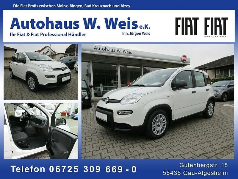 Neu Fiat Panda 69 PS (50 kW) 2025 601 Kleinwagen