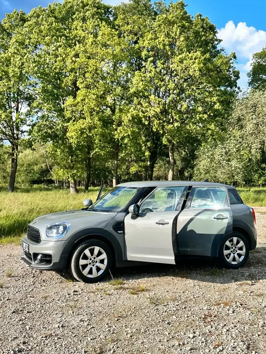 Gebraucht Mini Countryman 102 PS (75 kW) 2019 Grau SUV