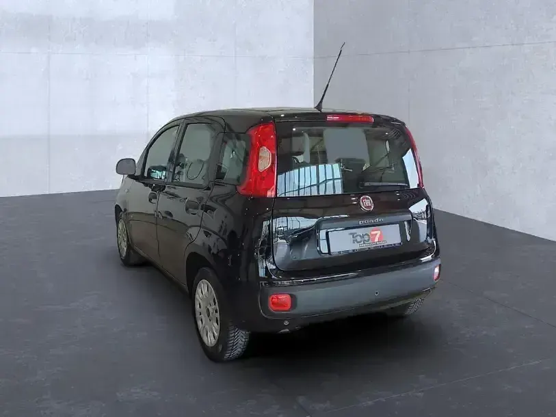 Gebraucht Fiat Panda Easy 69 PS (50 kW) 2019 Cinema schwarz (metallic) Kleinwagen
