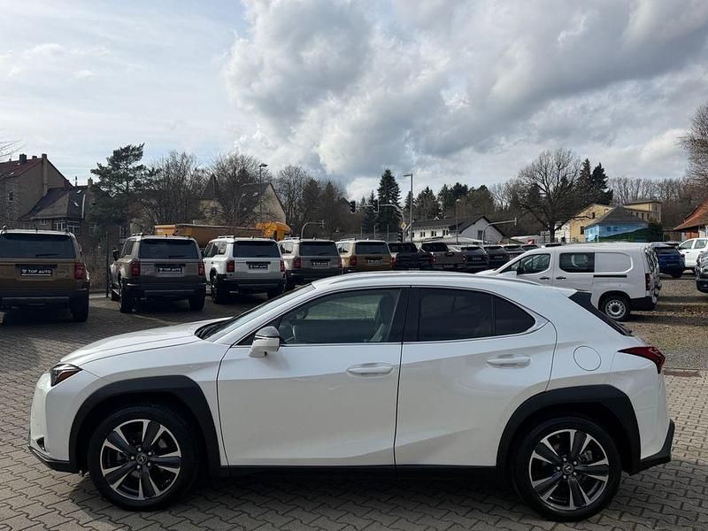 Gebraucht Lexus UX 250h 184 PS (135 kW) 2024 Weiß SUV