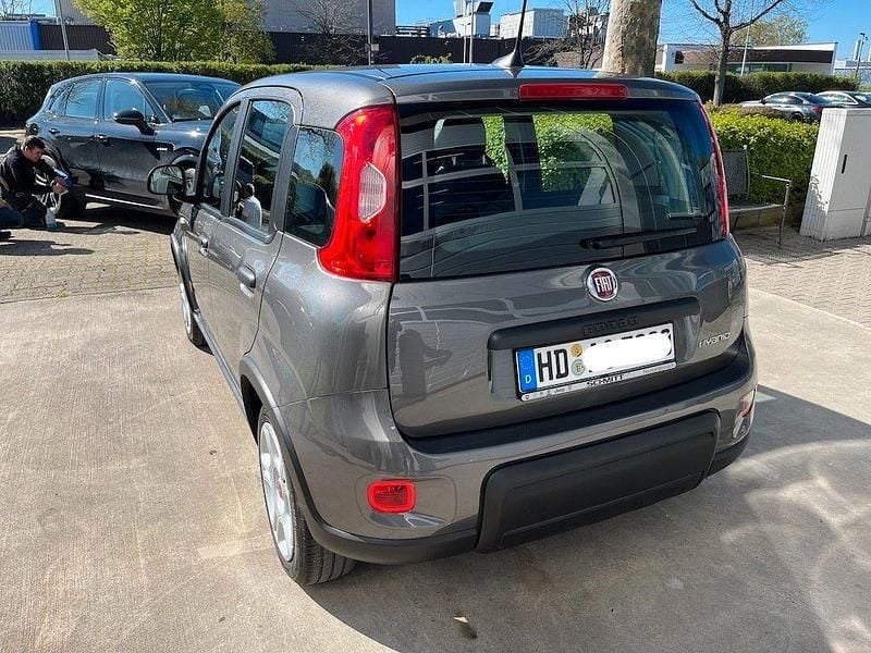 Gebraucht Fiat Panda 69 PS (50 kW) 2024 Grau Kleinwagen